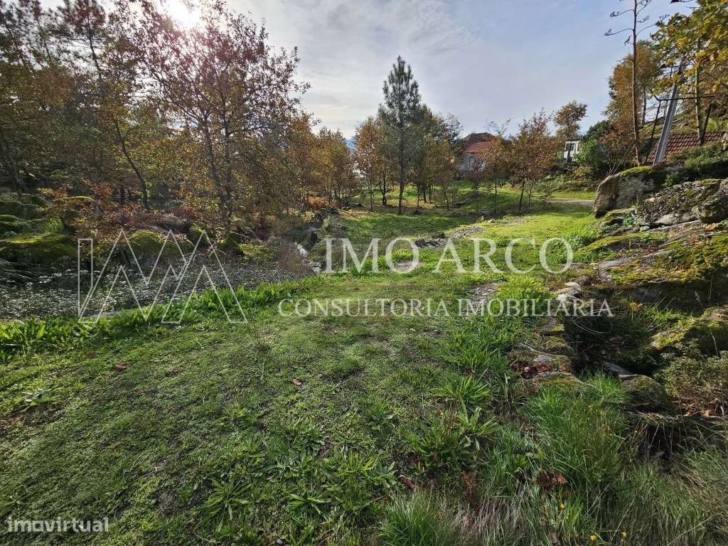 Terreno, Olival de Meanhos-12