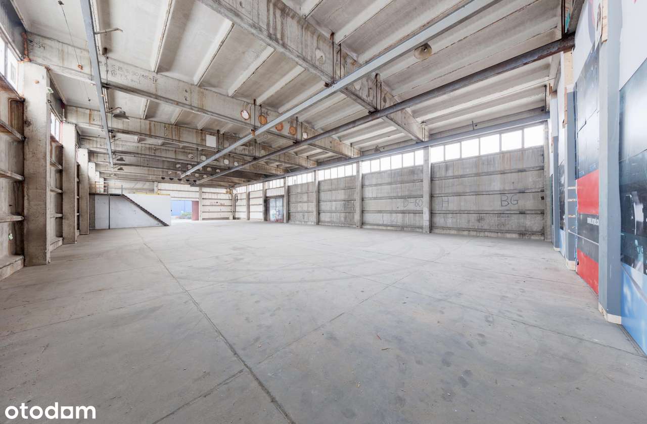 Hala magazynowa | rampa | brama | biura | wolna od 1.01 - Pełny obrazek: 4/8