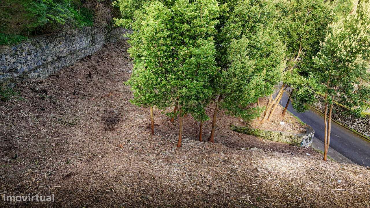 Exclusivo Lote (Nº2) com Vista Mar na Caloura — Uma Oportunidade Rara-21