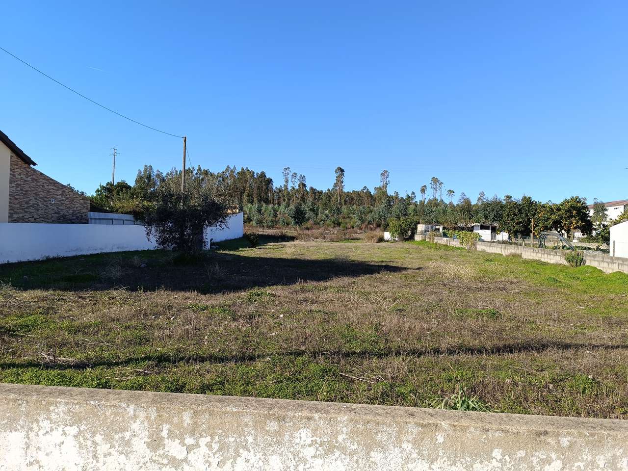 Terreno  Venda em Bemposta,Abrantes - Grande imagem: 4/8