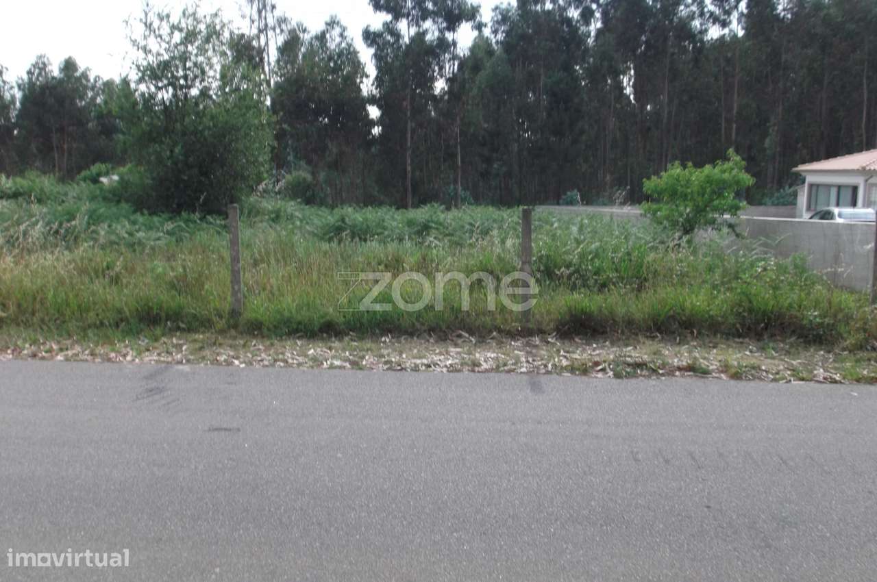 Terreno na Branca (Albergaria a Velha) - Grande imagem: 3/6