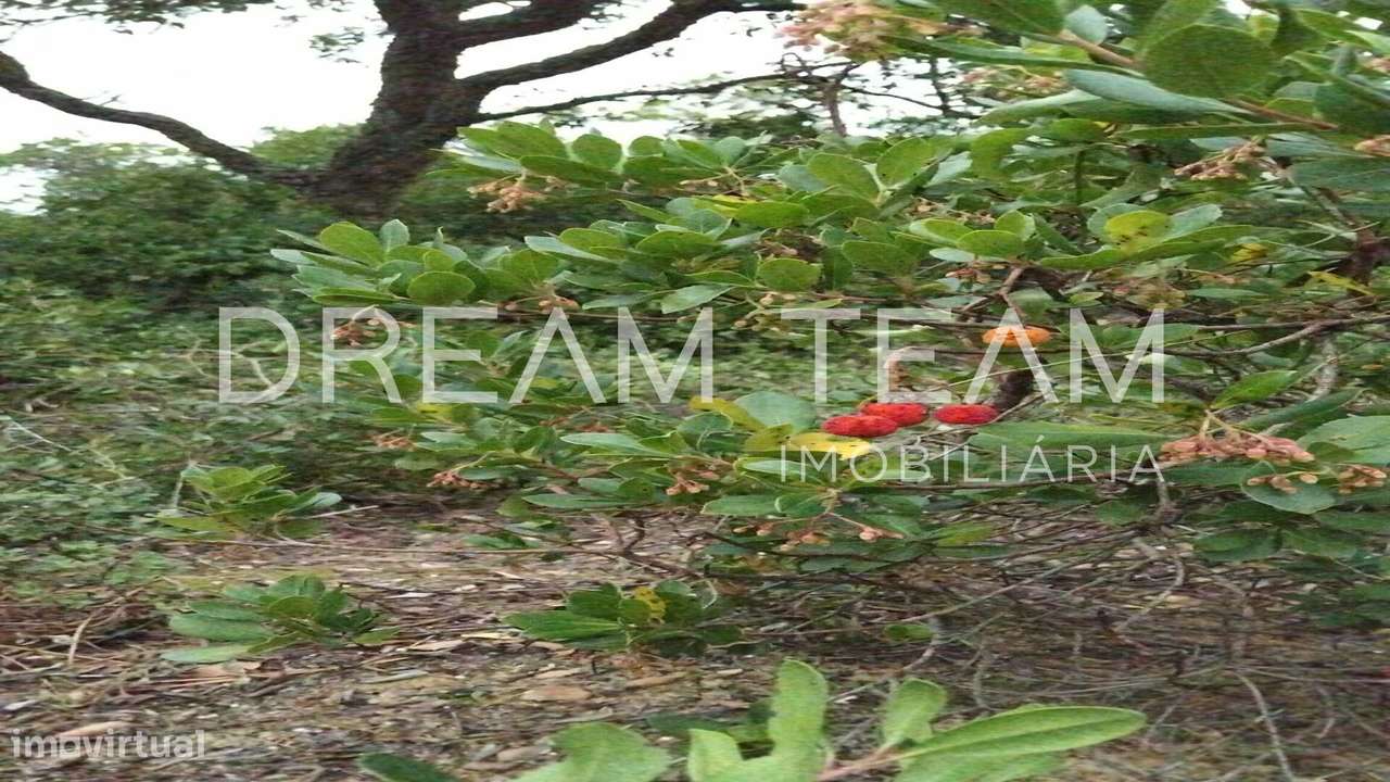 Terreno Urbano para Construção – Palhais-Coina | Viabilidade para 27 F-16