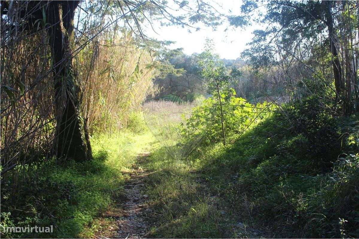 Terreno  para venda - Grande imagem: 2/18