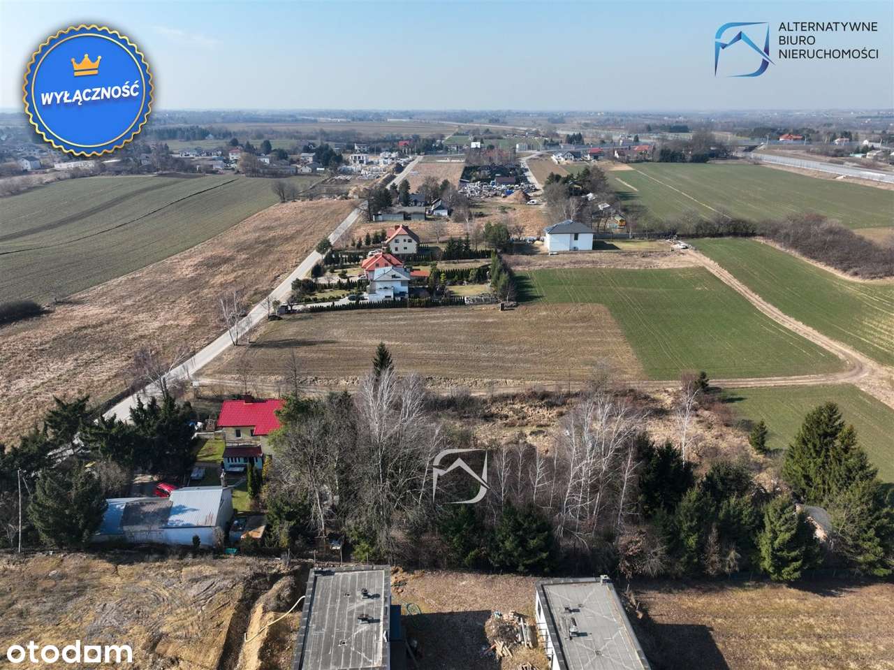 Zadrzewiona działka budowlana - Snopków/Marysin - Pełny obrazek: 5/14