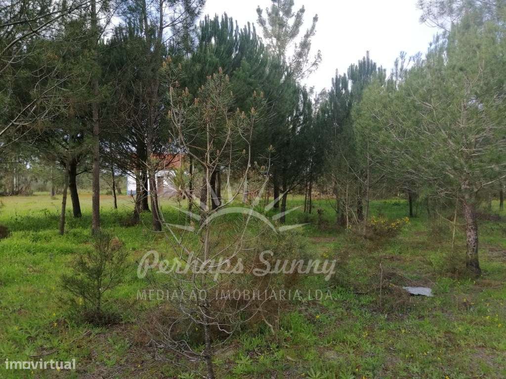 Quinta com Moradia em Grândola - Grande imagem: 4/20