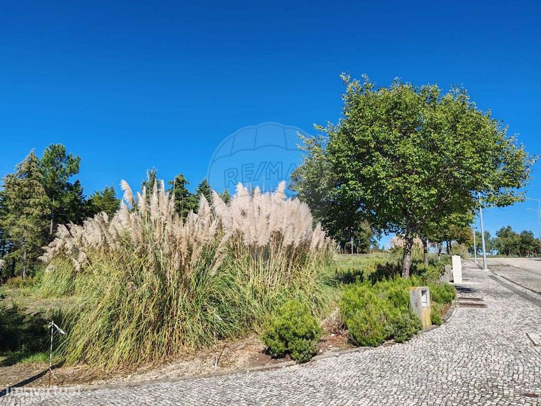 Terreno  para venda - Grande imagem: 4/34