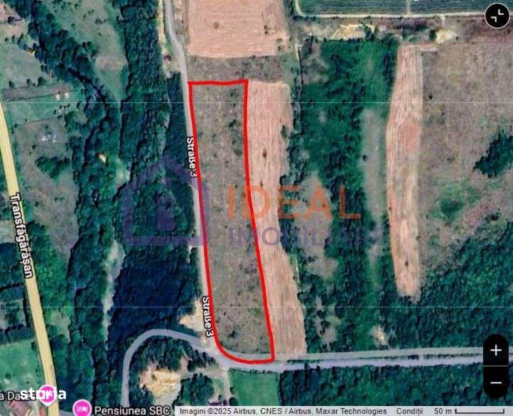 Teren extravilan 6.500 mp – două căi de acces, Cârțișoara-7