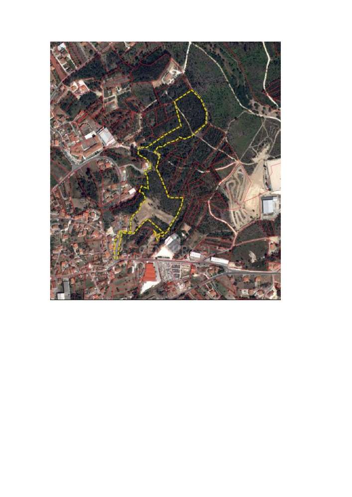 Terreno no Juncal - Grande imagem: 4/4