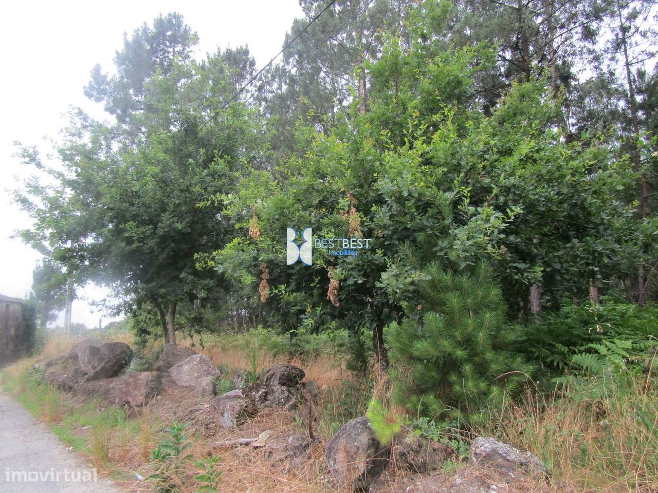 EXCELENTE TERRENO, C/9600 M2, JUNTO Á DIDAX EM CRUZ, FAMALICÃO - Grande imagem: 3/14