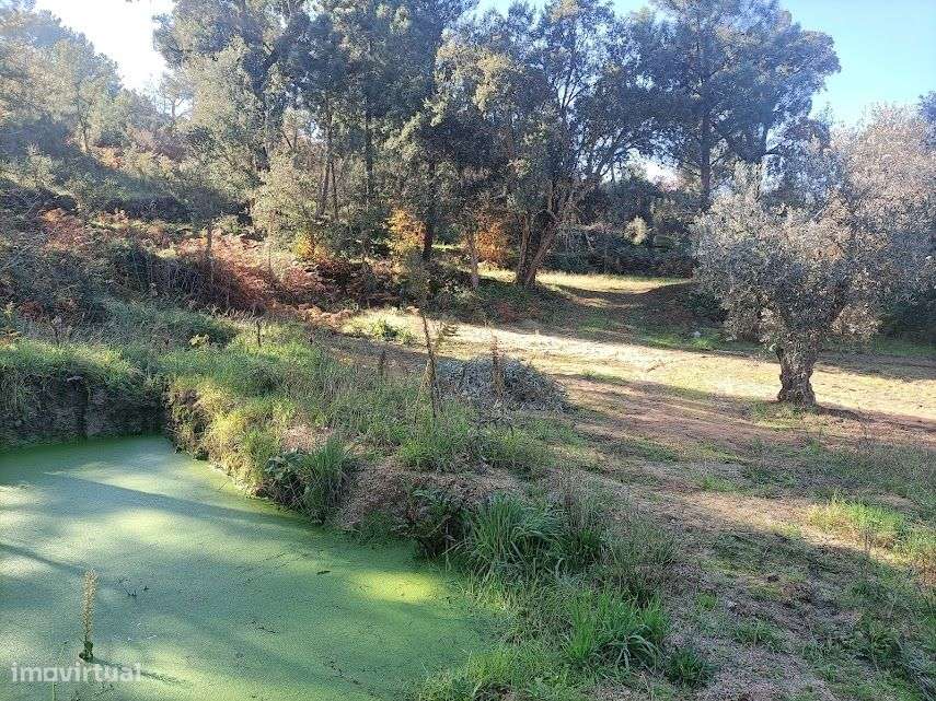 Quinta com 47.000 m2 junto ao Rio Calvo, em Valpaços, ideal p/ turismo-8