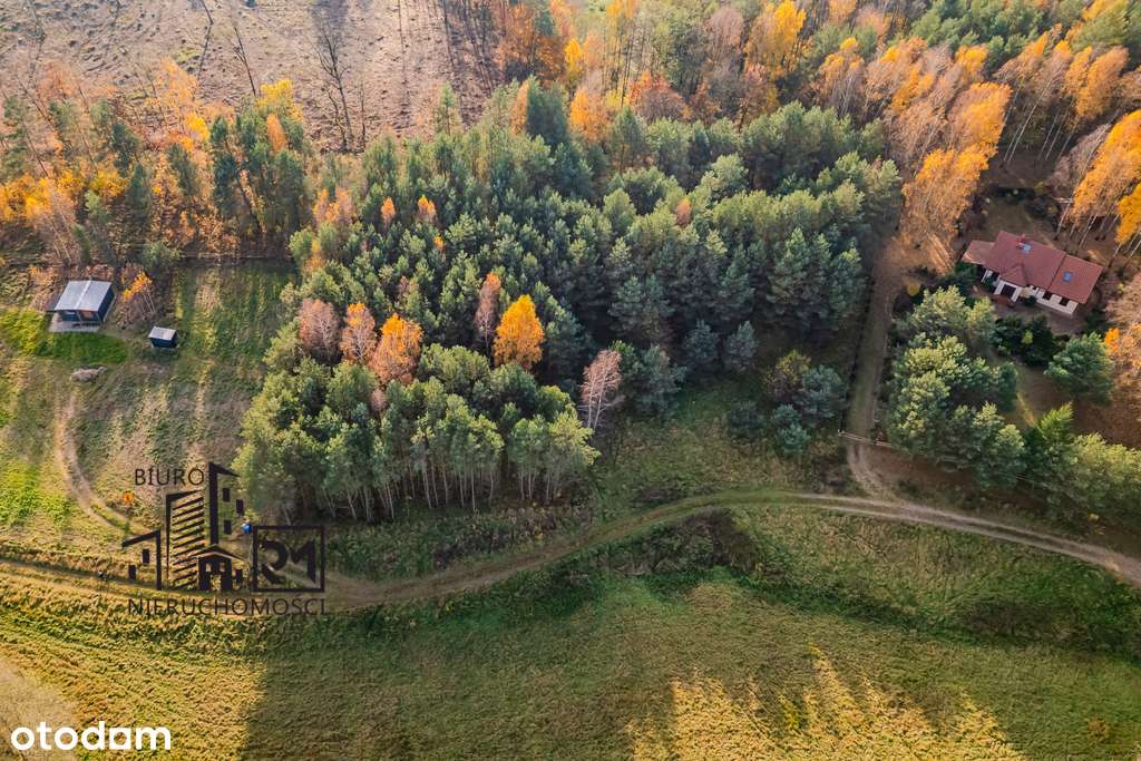 Duża działka rekreacyjna przy Jeziorze Głowińskim-5