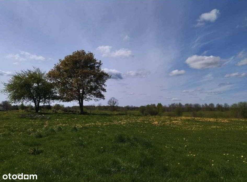 Działka pod rekreację - Pełny obrazek: 4/11