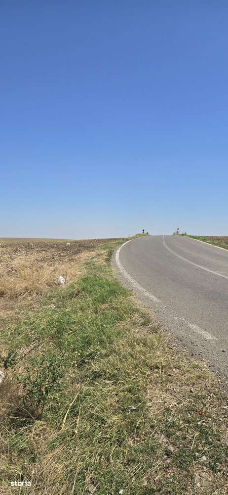 Teren intravilan – PUZ aprobat, utilitati 150m, asfalt - Ambient Lake - Imagine principală: 4/4