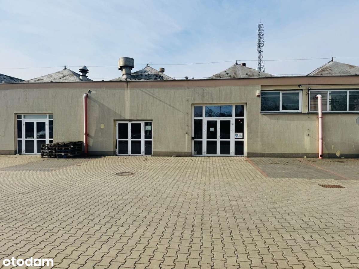 Wynajmę hale magazynową Góra Kalwaria - Pełny obrazek: 1/18