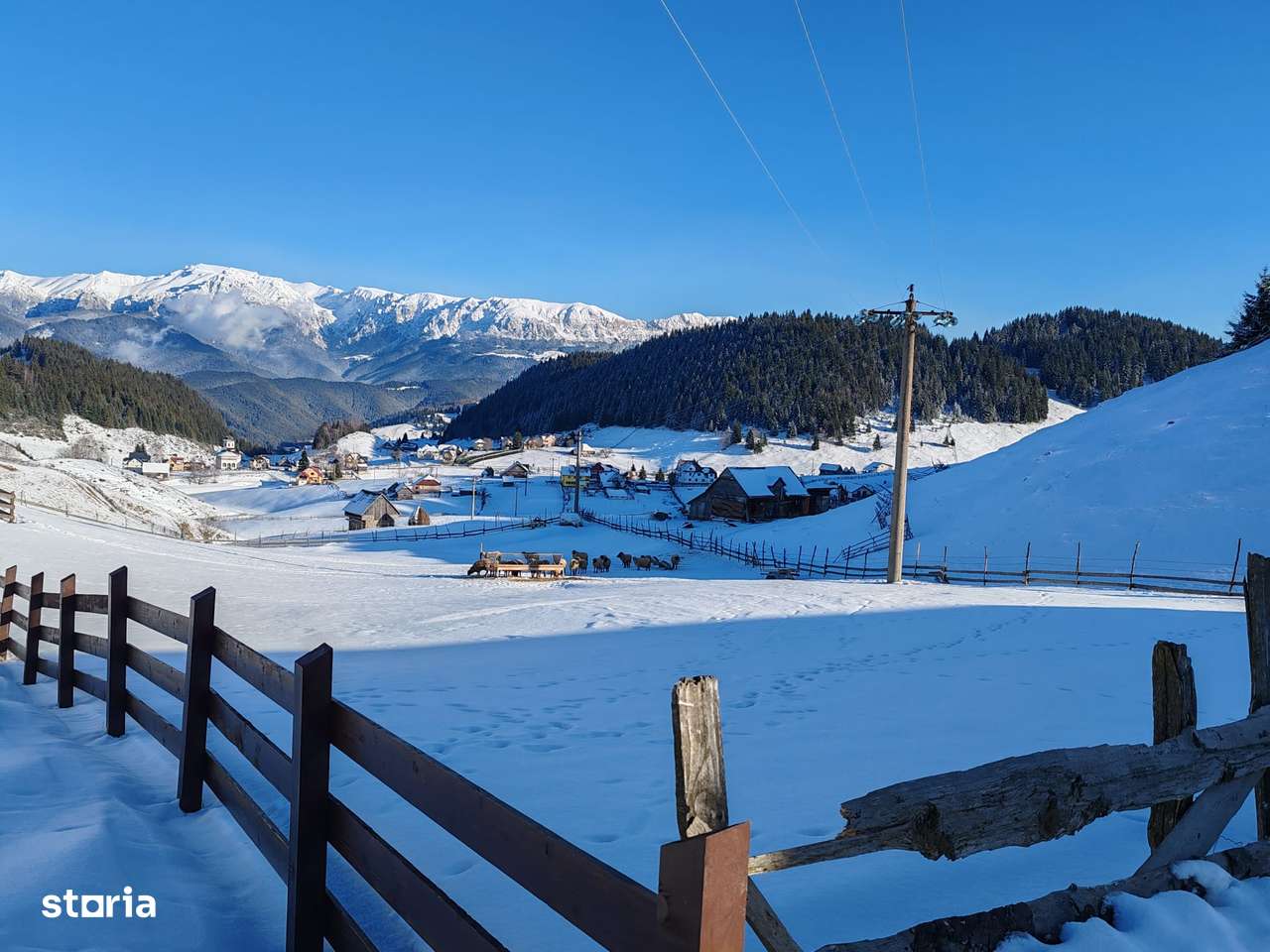 Teren Intravilan Fundata 1421Mp-6