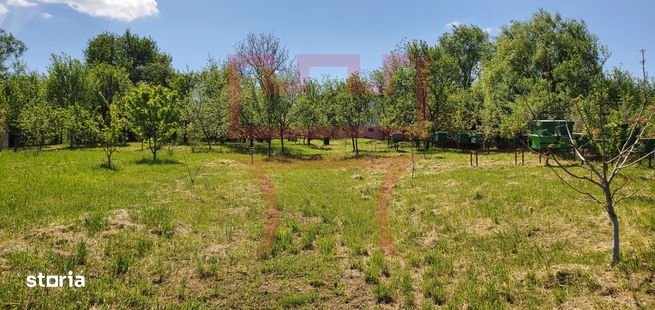 Casa nou construita Zimbor Chendremal cu 6.800mp teren-7