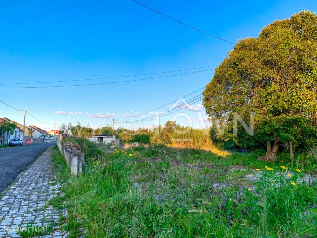 Imóvel Estratégico em Alcanena para Projeto Empresarial ou Residencial-22