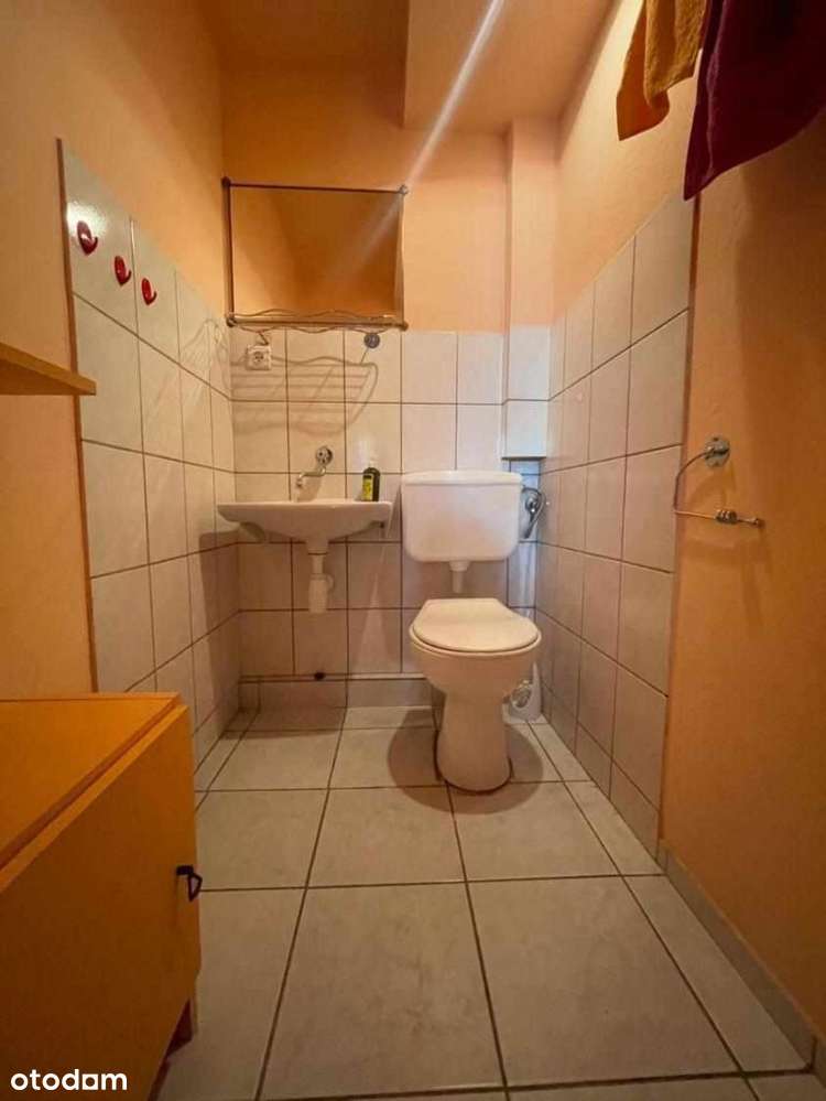 Szeregowiec z ogródkiem na Sołaczu - Pełny obrazek: 3/16