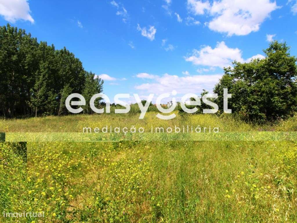 Terreno para construção em Anadia - Grande imagem: 5/18