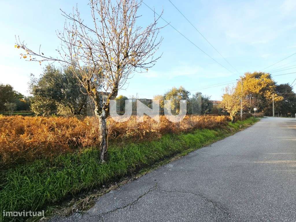 Terreno Rústico - Possibilidade de Construção-6