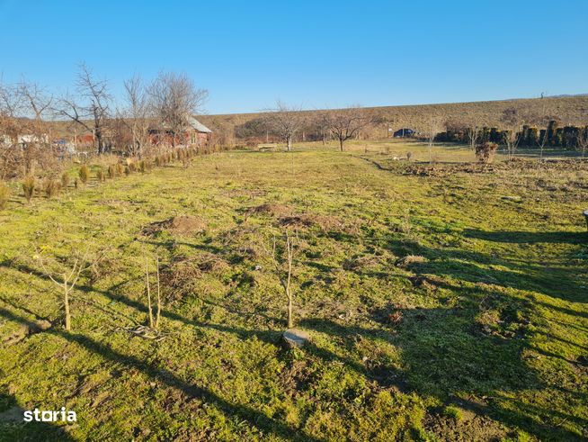 teren ostroveni sat 1845 mp deschidere 25/75 ml-3