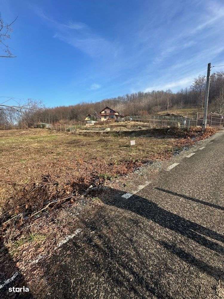 TAUTII MAGHERAUS strada 74 teren intravilan de aprox 36ari ! - Imagine principală: 4/7
