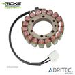 STATOR TRIUMPH DAYTONA 600 650 TT 600 SPEED FOUR 600 (2000-2005) RICK'S MOTORSPORT ELECTRICS - 3