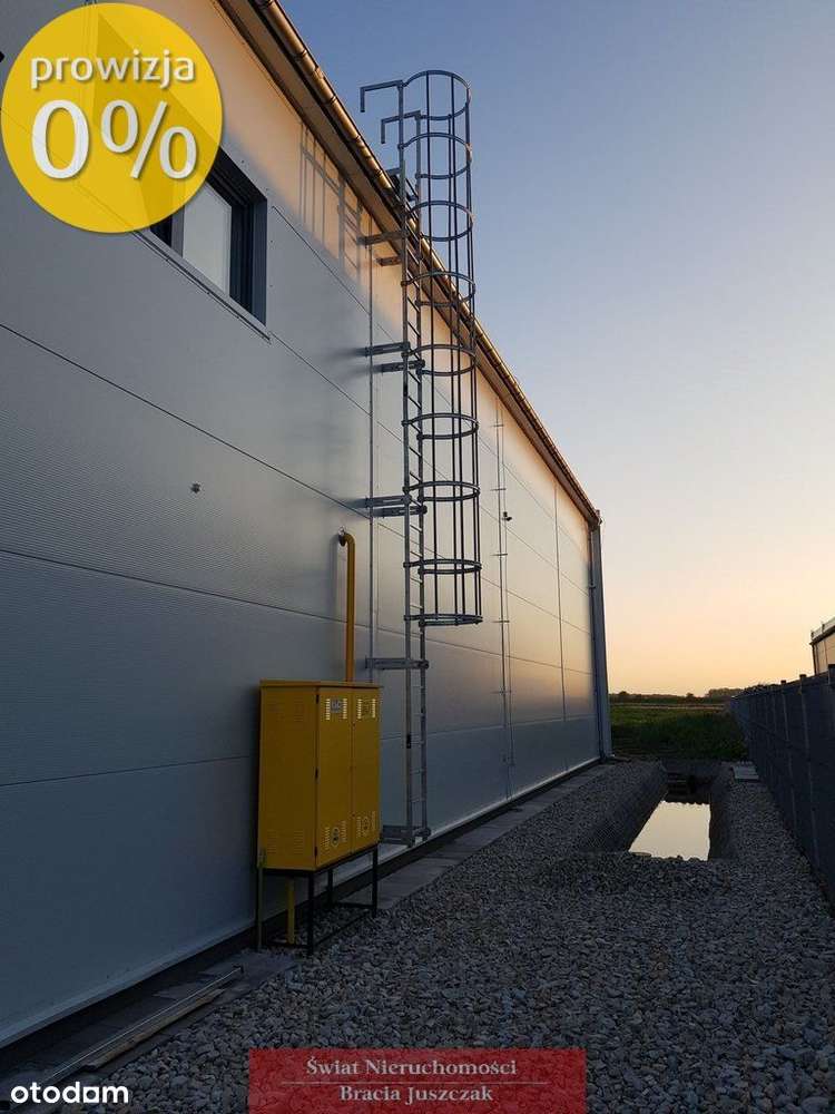 Hala/Magazyn, 717 m², Suchy Dwór - Pełny obrazek: 4/16