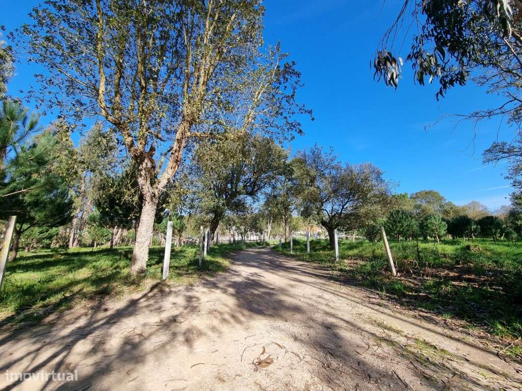 Terreno na Tornada - Caldas da Rainha - Grande imagem: 4/8
