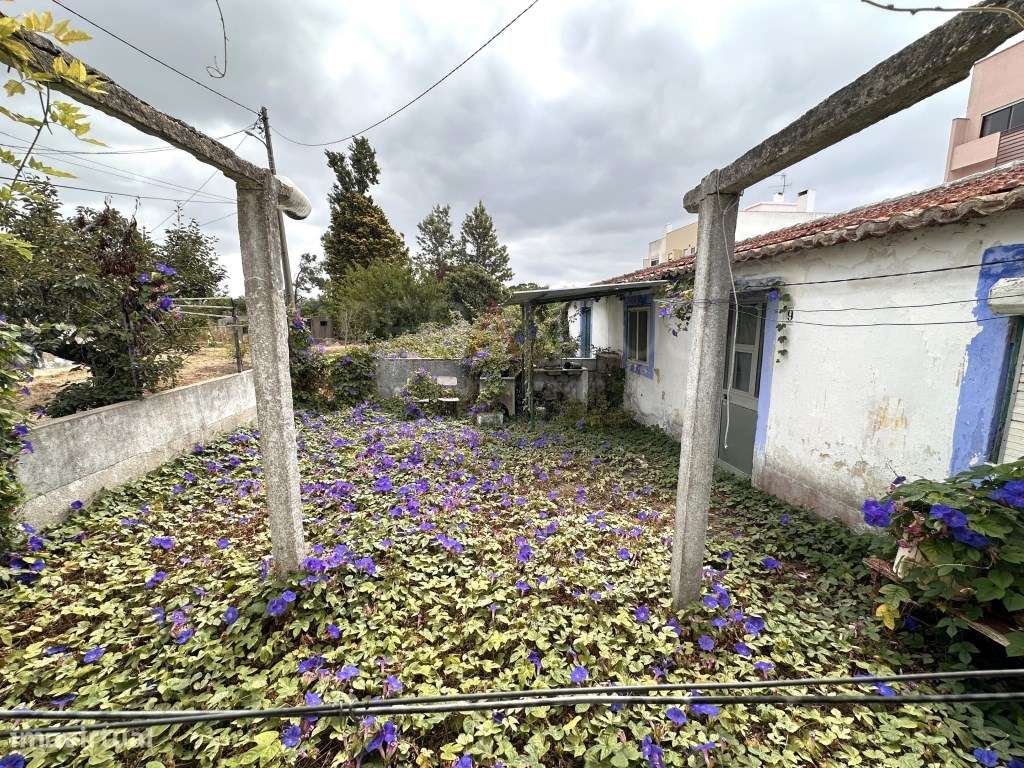 Casa Térrea-8
