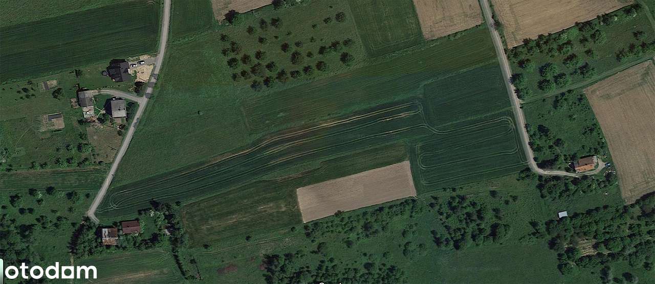 Działka budowlano - rolna Łazany, 70a, PODZIELONA - Pełny obrazek: 4/5