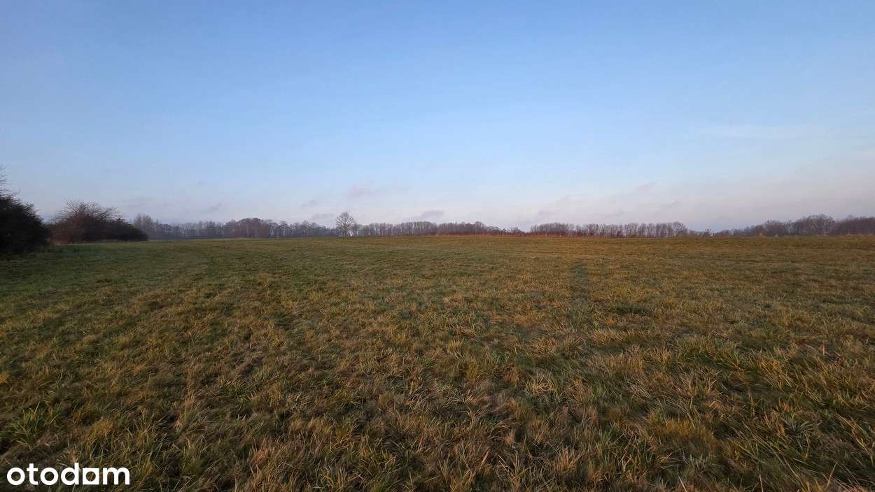 Na sprzedaż działka w miejscowości Młynary-14