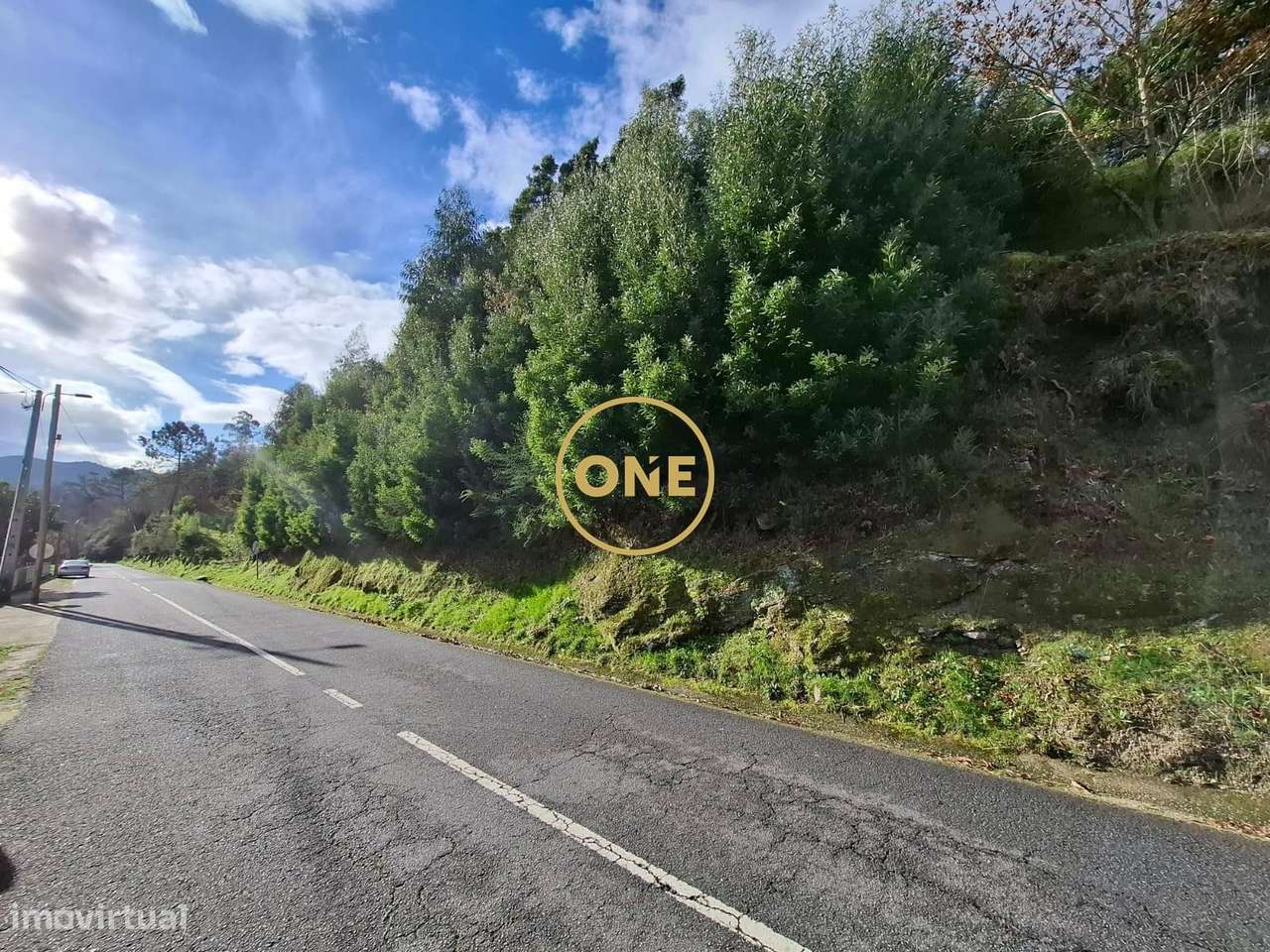 Terreno Rústico - Valdreu - Grande imagem: 4/5