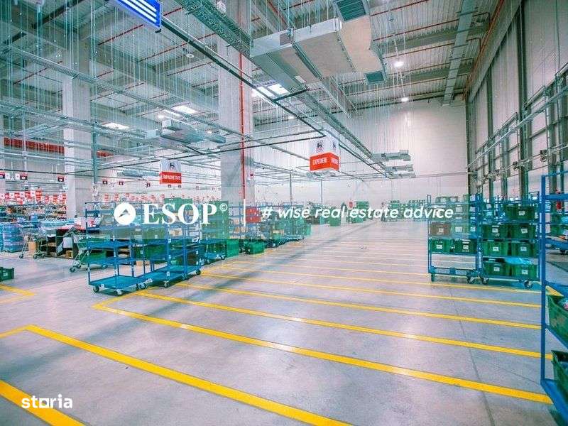 Hale de inchiriat Chitila, GLOBAL LOGISTIC PARK,  1.500 - 18.000mp - Imagine principală: 3/7