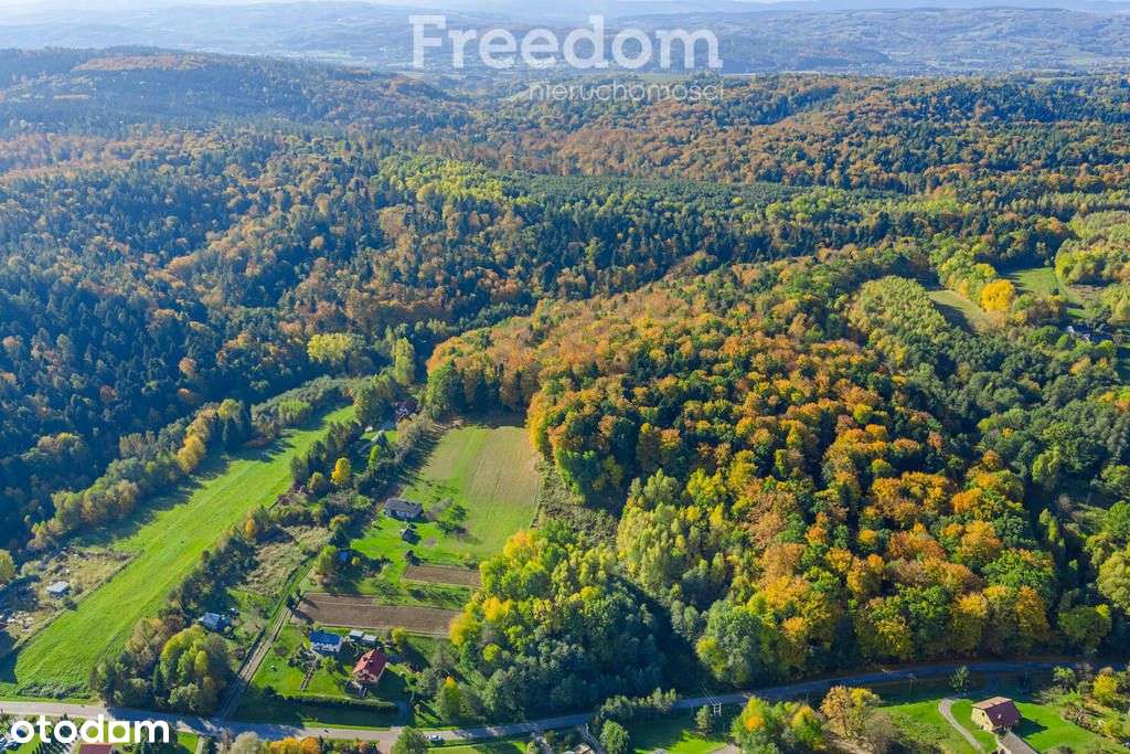 Widokowa działka pod zabudowę – Mogielnica-11