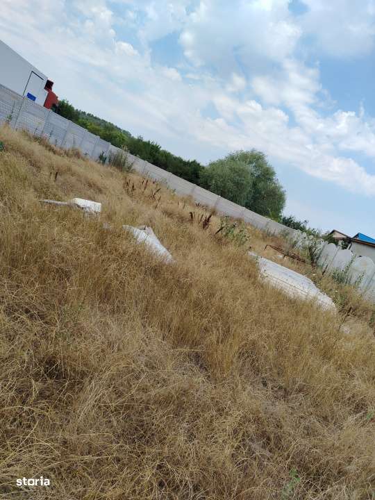 Teren intravilan Popoveni,  500 mp, 33,76 front stradal - Imagine principală: 4/4