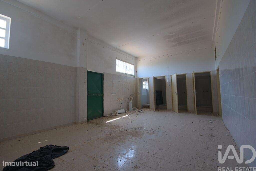 Armazém em Arrimal e Mendiga de 590,00 m2 - Grande imagem: 4/13