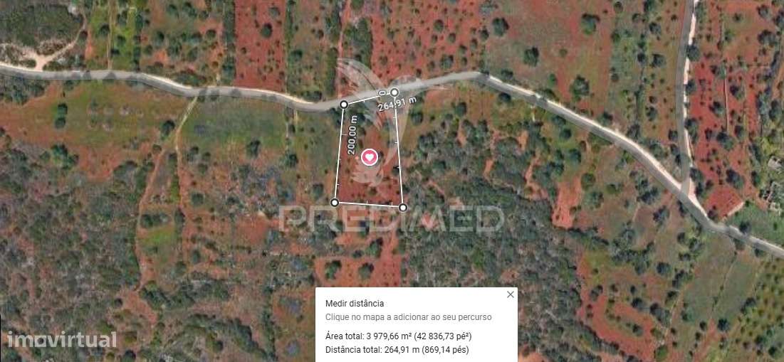 Terreno Rustico em Loulé com acesso directo - Grande imagem: 4/12