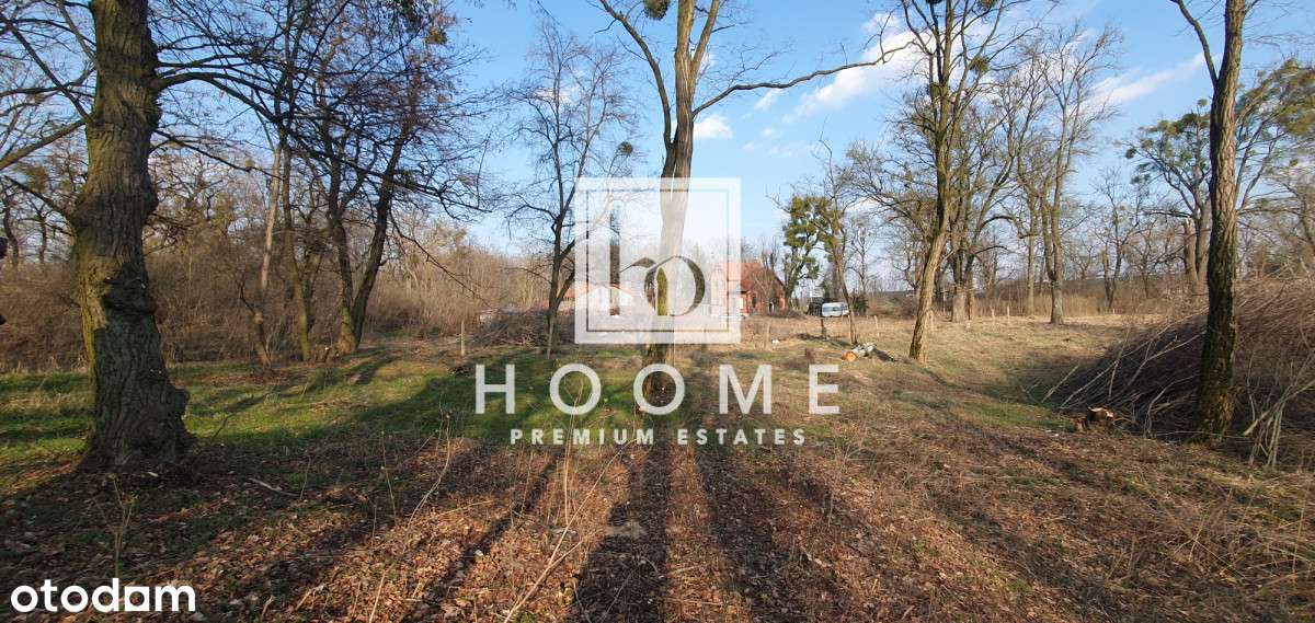 Unikat!! Toruń Dla Dewelopera, Lokalizacja!!-12