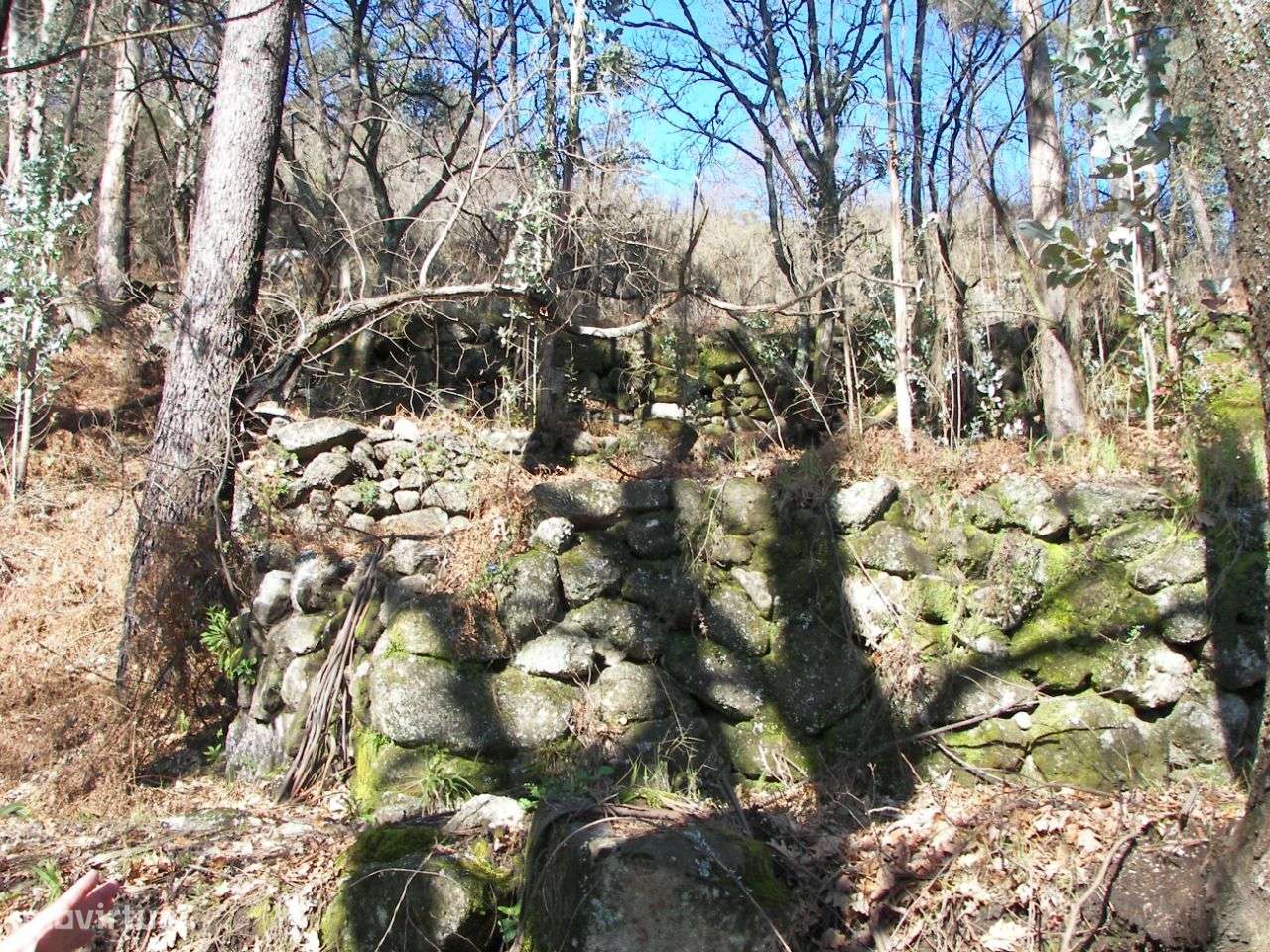 Terreno com 3851m2 em Vila Cova, Fafe - Grande imagem: 2/13