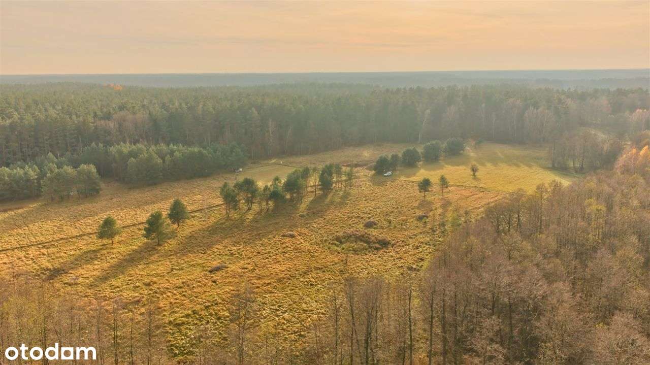 Działki Niedźwiedzi Róg Mazury Śniardwy-10