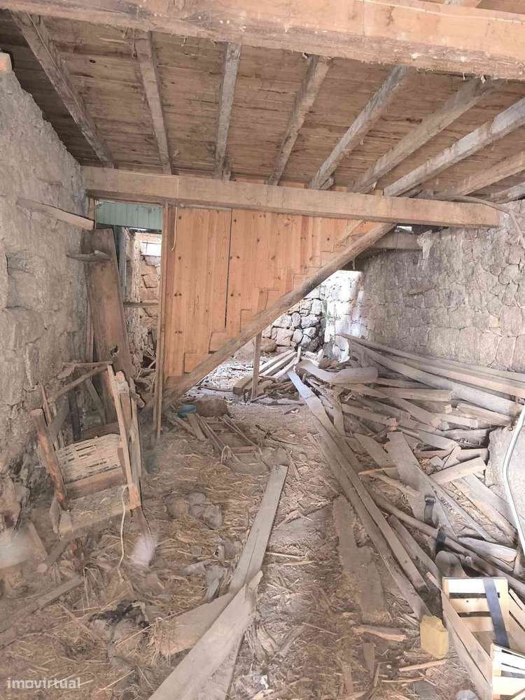 Imovel na Serra da Gardunha - Grande imagem: 4/9