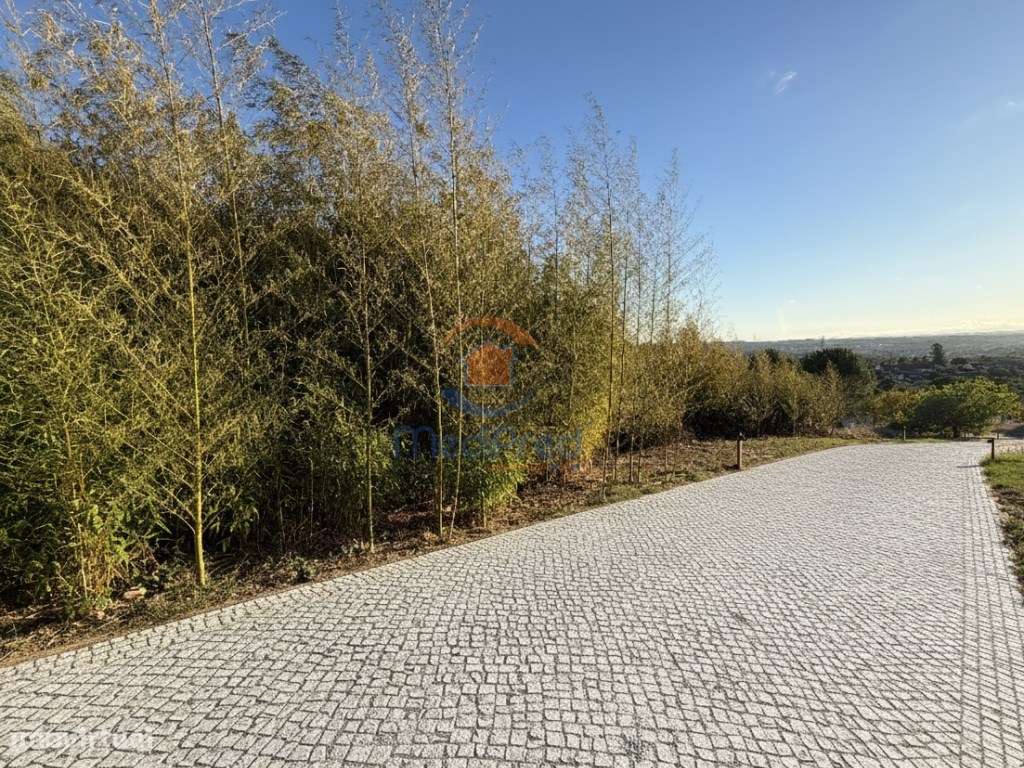 Quinta T5 de luxo em São Pedro de Tomar | Tomar-58