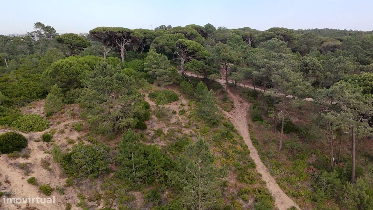 Terreno Rústico com Vista Mar e Potencial Ecológico-17