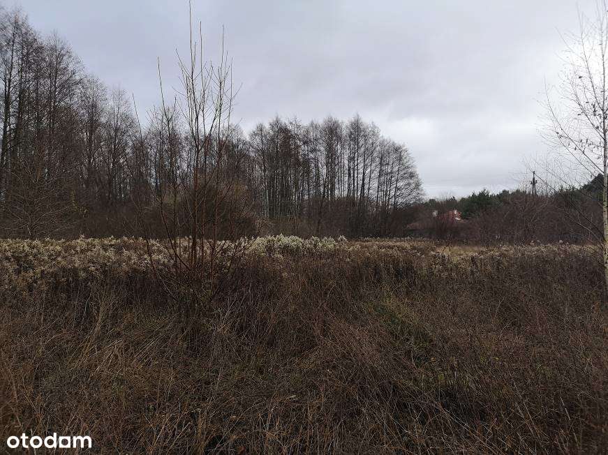 Syndyk sprzeda udział w nieruchomości niezabudowanej w Małej Nieszawce - Pełny obrazek: 1/1