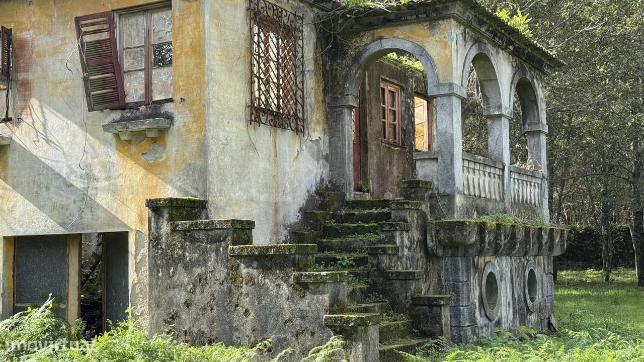 Ruína  9700m2 - vedada em pedra - Vila Cova-4