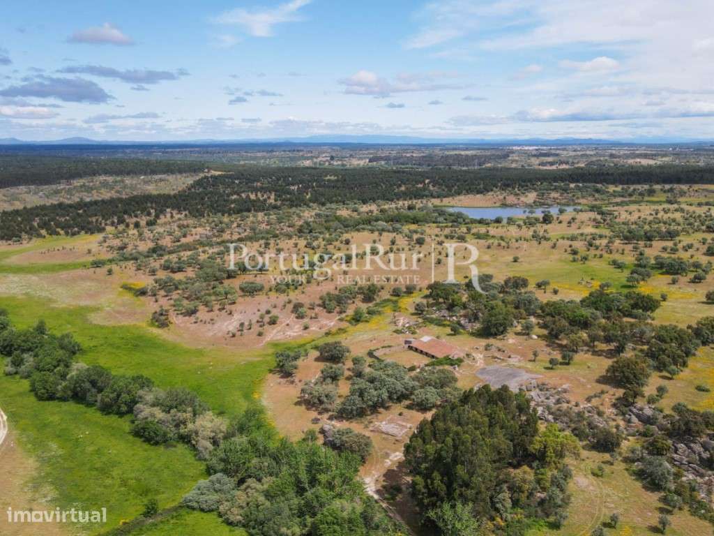 Herdade Ganadeira | Bovinos | Suínos | Caprinos com 186 Hectares no... - Grande imagem: 3/52