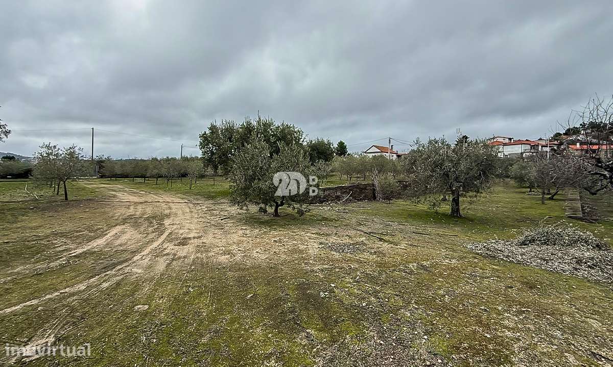 Terreno 5860m² - Pinheiros-7