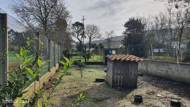 Terreno Rústico de cultivo - Grande imagem: 4/6