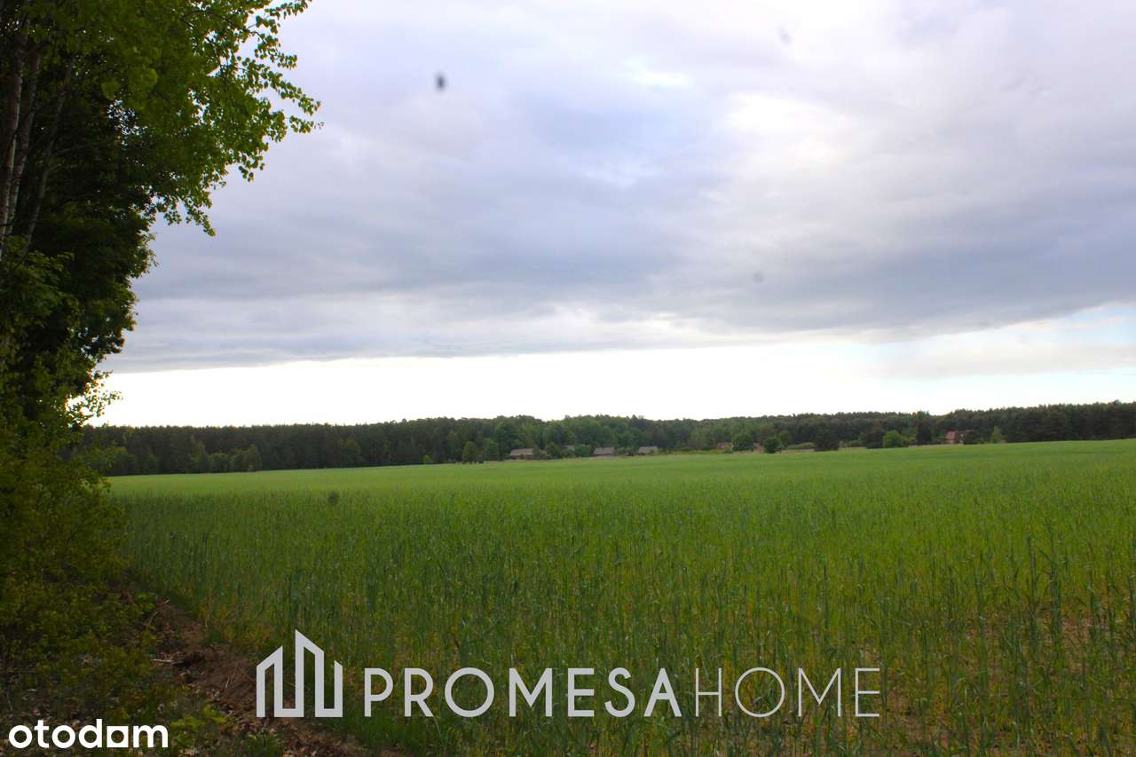 Wygon/Choszno działki las jezioro SUPER CENA !!! - Pełny obrazek: 4/4